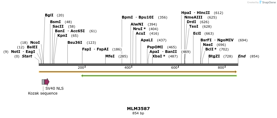 60205_map