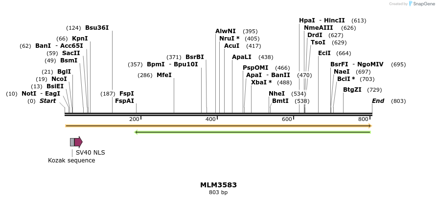 60206_map