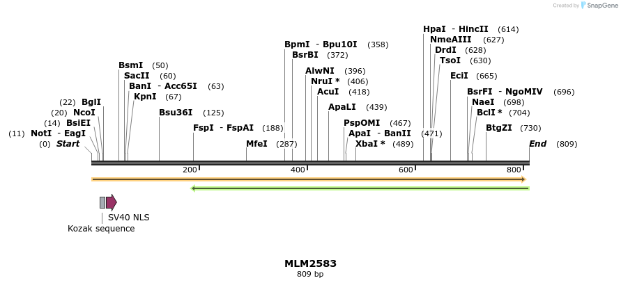 60208_map