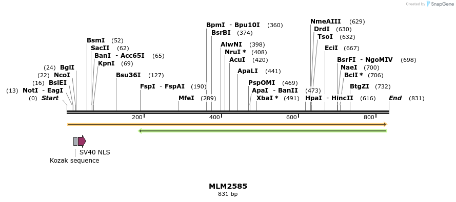 60209_map