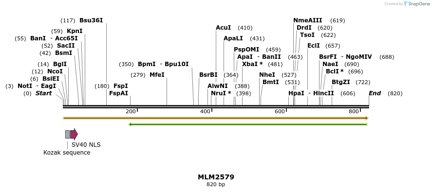 60210_map
