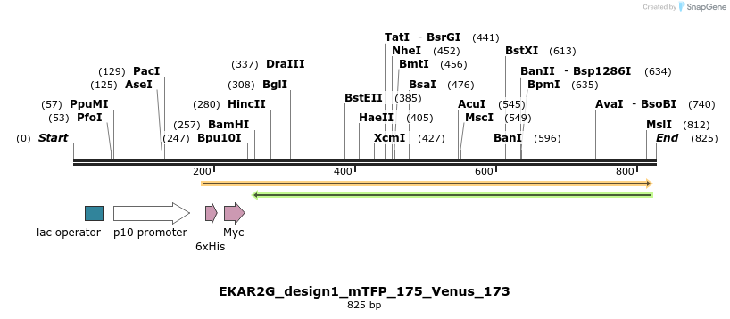 60212_map