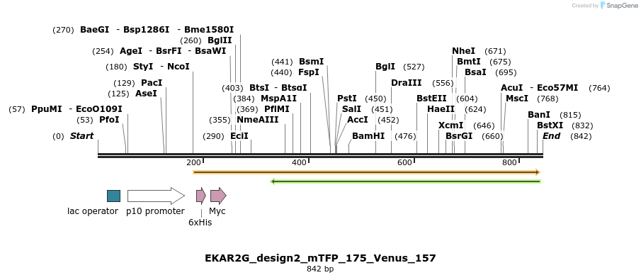 60213_map