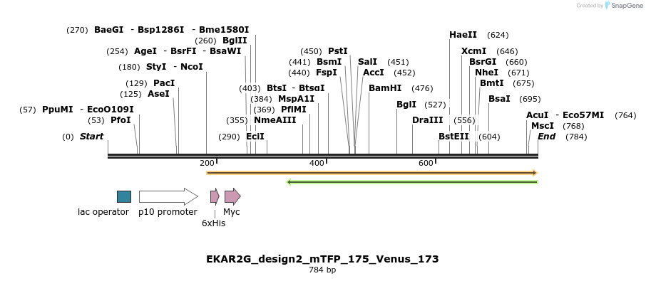 60214_map