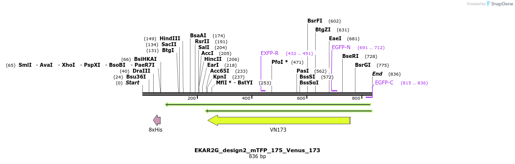 60215_map