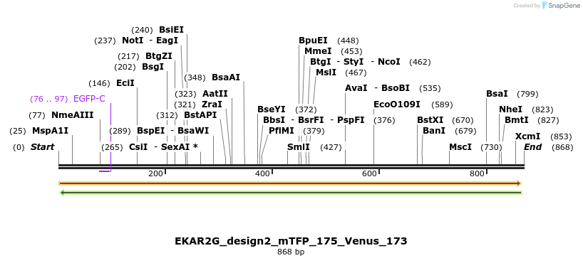 60216_map