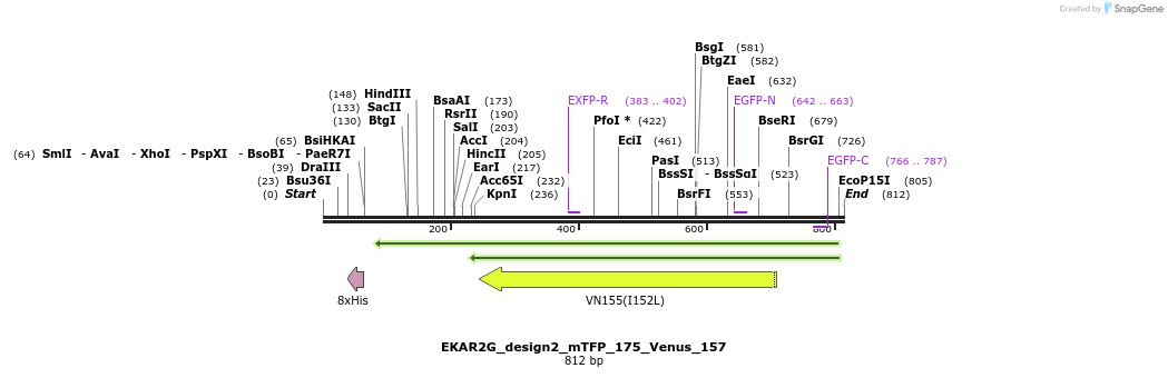 60217_map