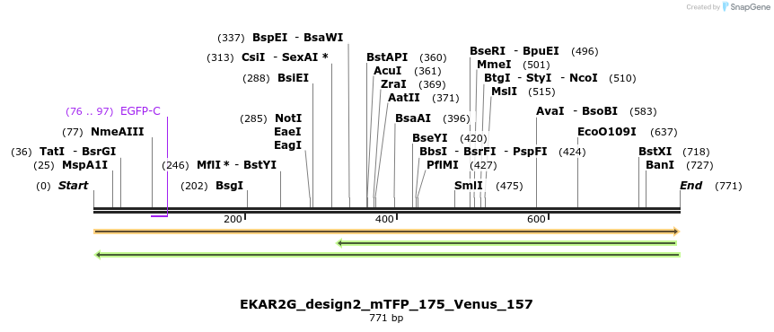 60218_map