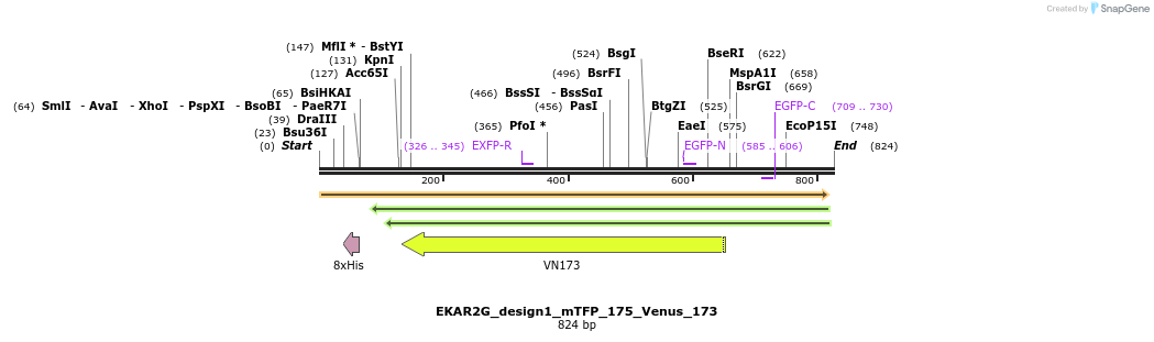 60221_map