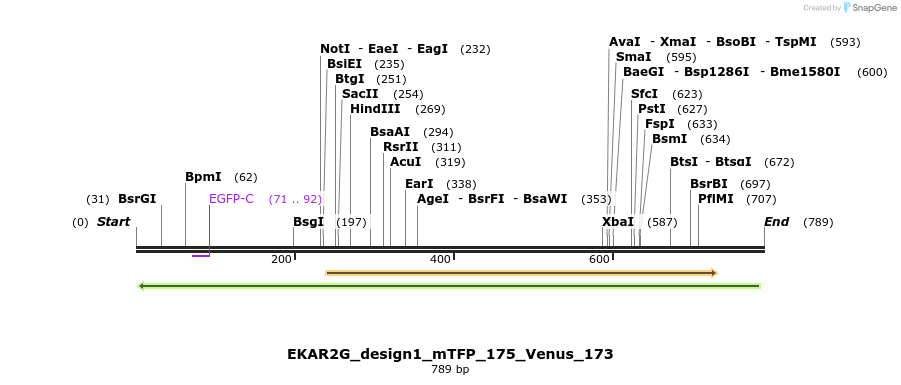 60222_map