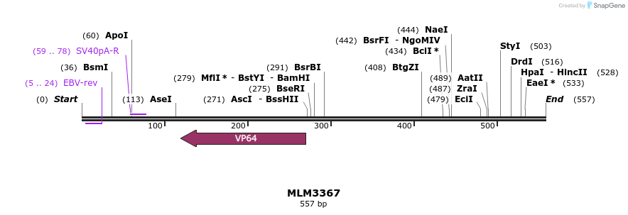 60225_map