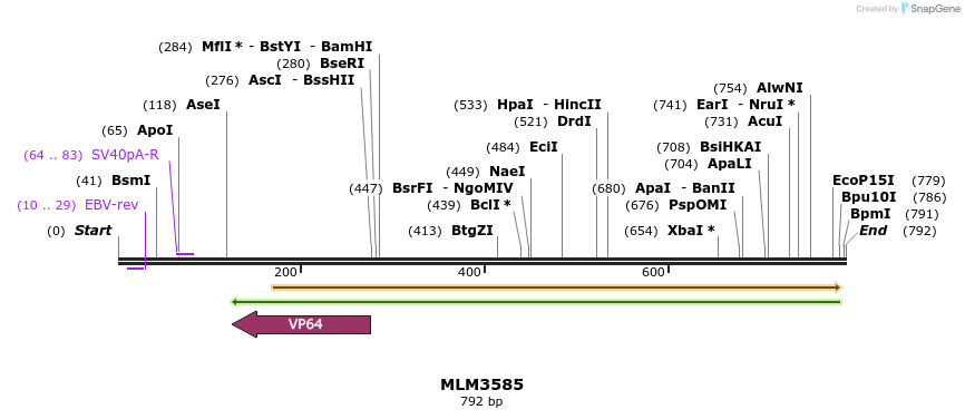 60226_map