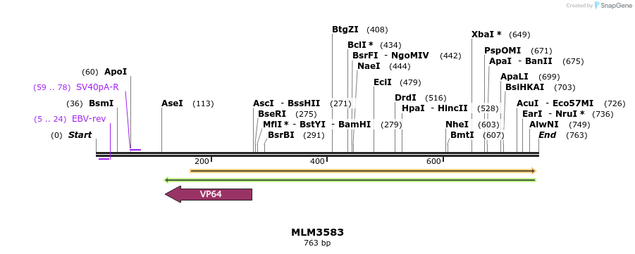 60228_map