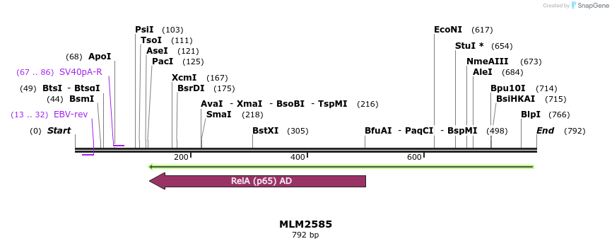 60231_map