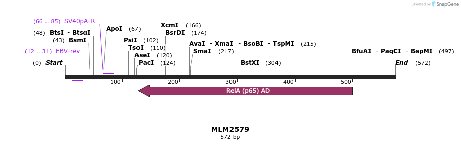 60232_map