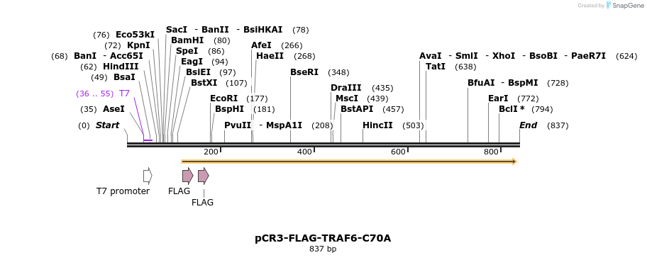60234_map