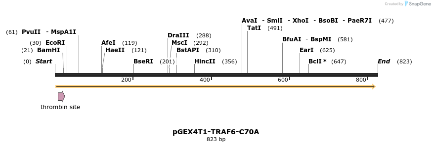 60238_map