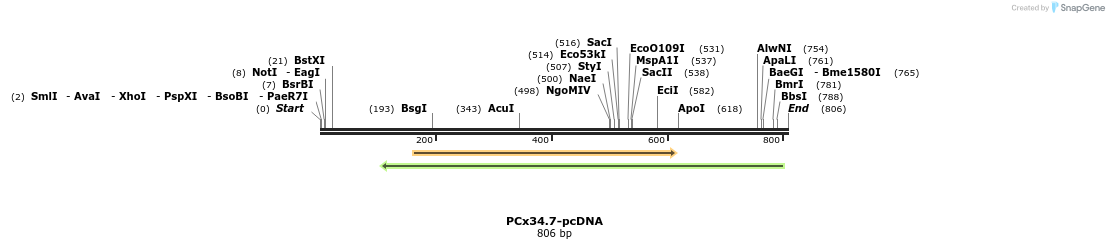 60239_map