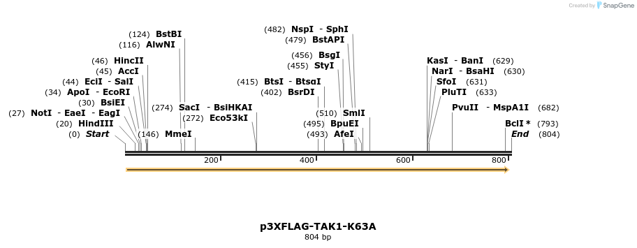 60256_map