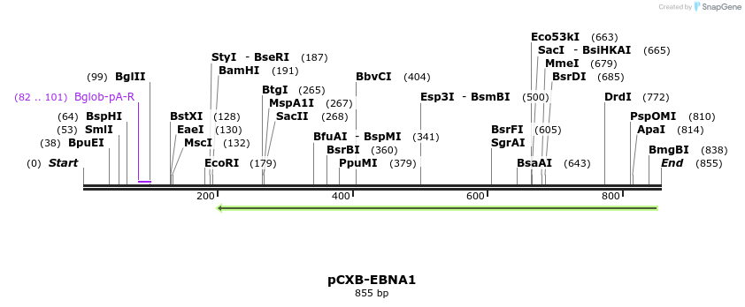 60260_map
