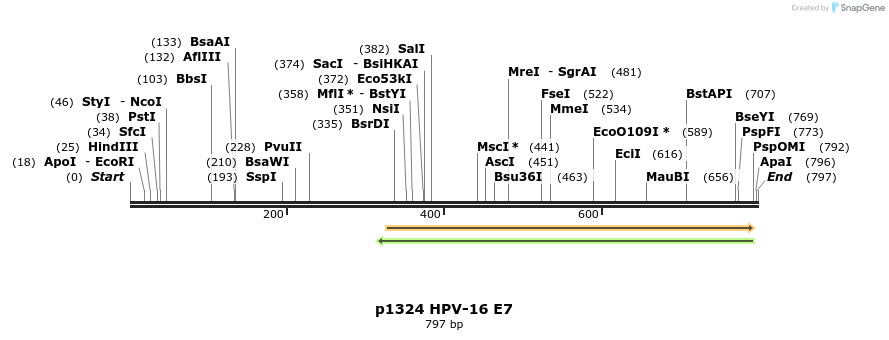 60270_map