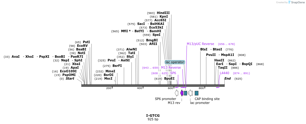 60275_map