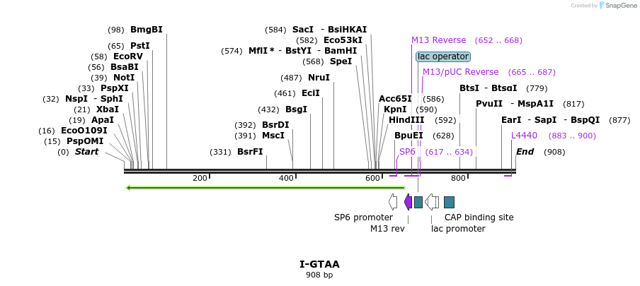 60281_map