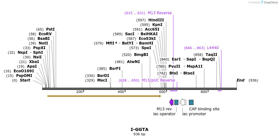 60285_map