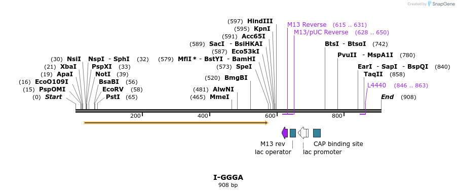 60290_map