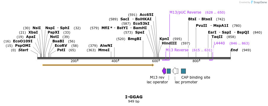 60316_map
