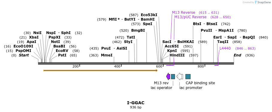 60317_map