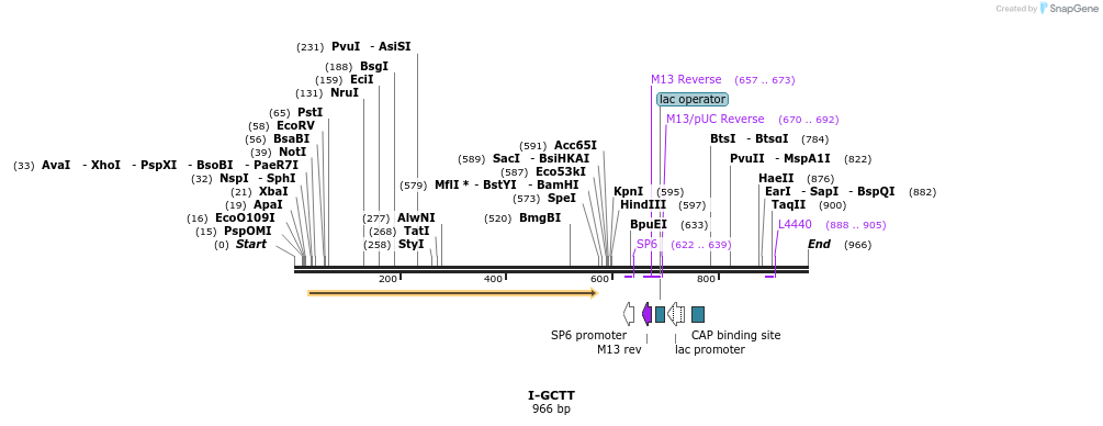 60319_map