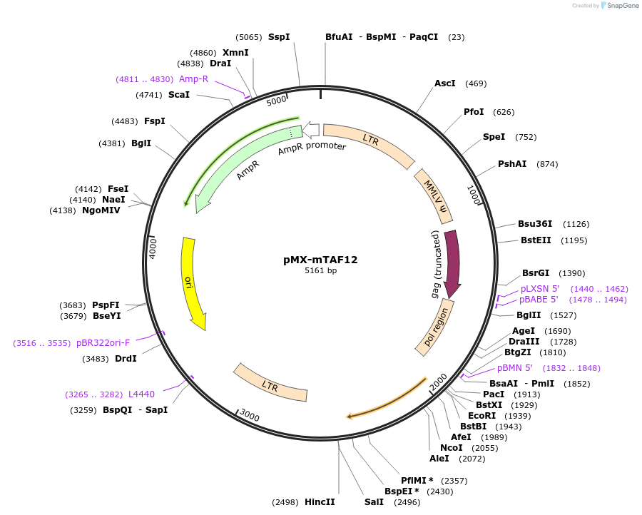 60340_map