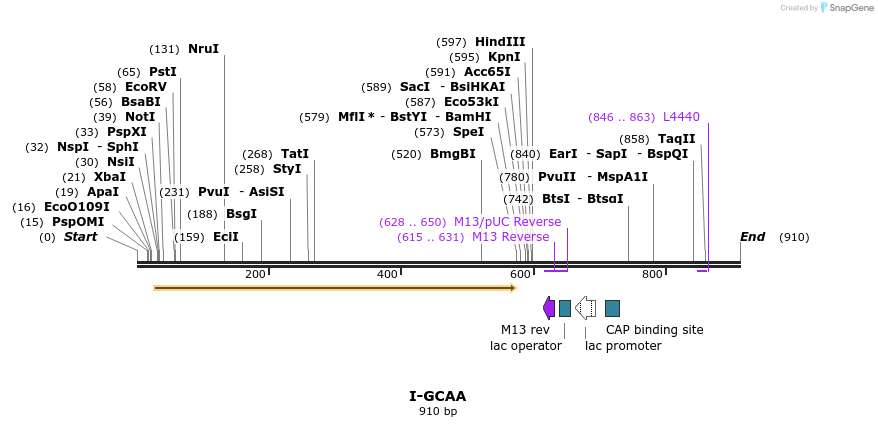 60351_map