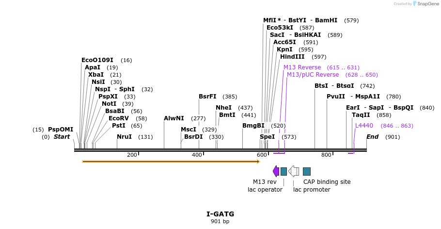 60353_map