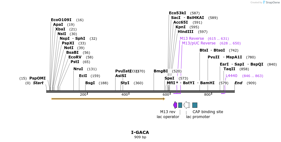 60370_map