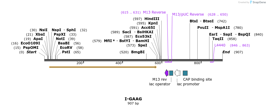 60373_map