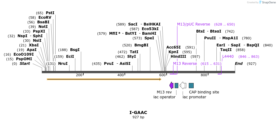 60374_map