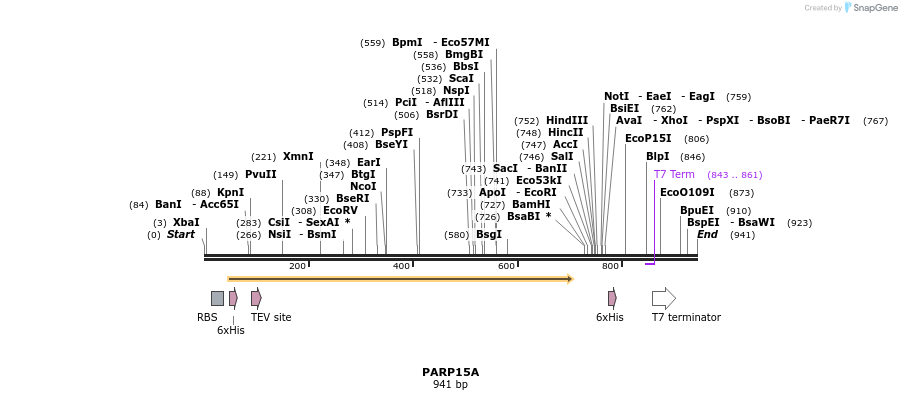 60383_map