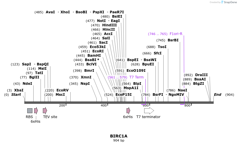 60386_map