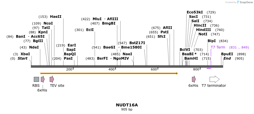 60390_map