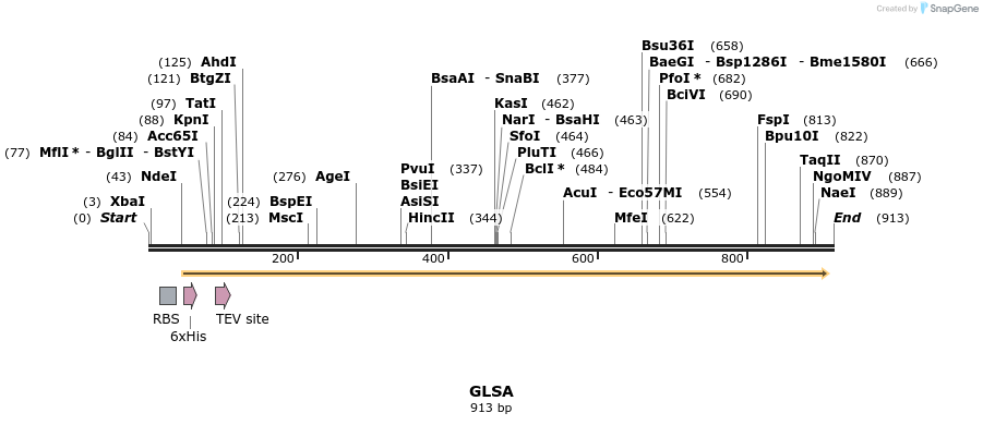 60392_map
