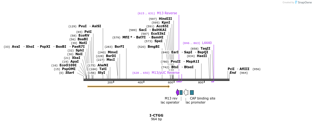 60394_map