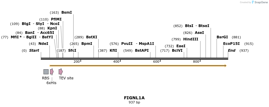 60396_map