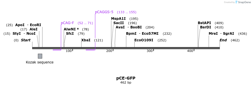 60400_map