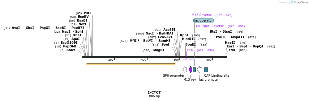 60401_map
