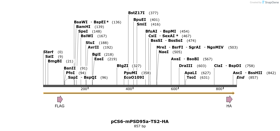 60402_map