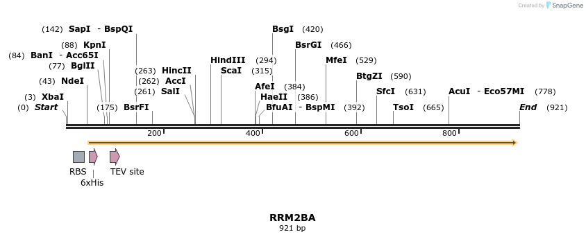 60406_map