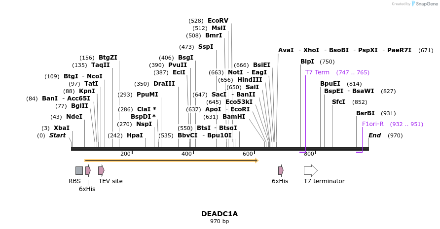 60408_map