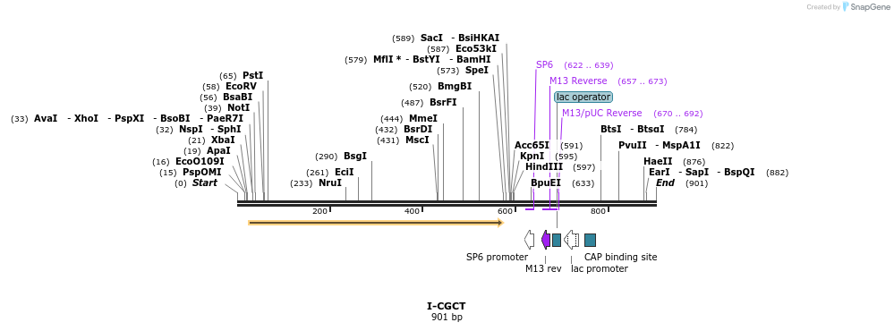 60430_map